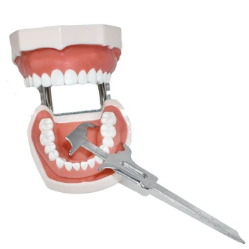 Новый тип стоматологического Ортодонтического скользящего суппорта, индикатор подбородка, измерительный прибор для зубных имплантатов, Линейки суппорта из нержавеющей стали