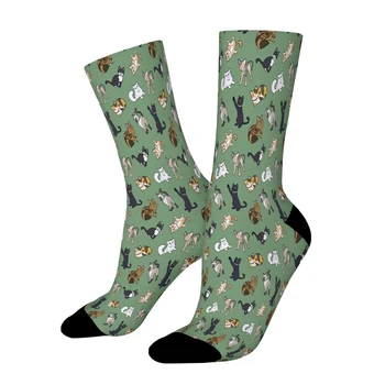 Прямые носки с рисунком кота и леса, мужские и женские весенние чулки из полиэстера в стиле хип-хоп